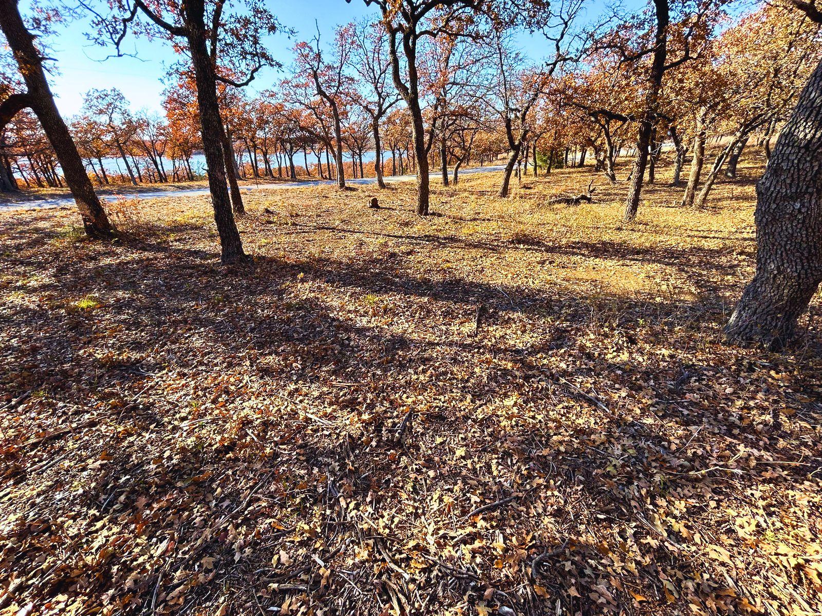 Nocona, Montague County, TX Recreational Property, Undeveloped Land