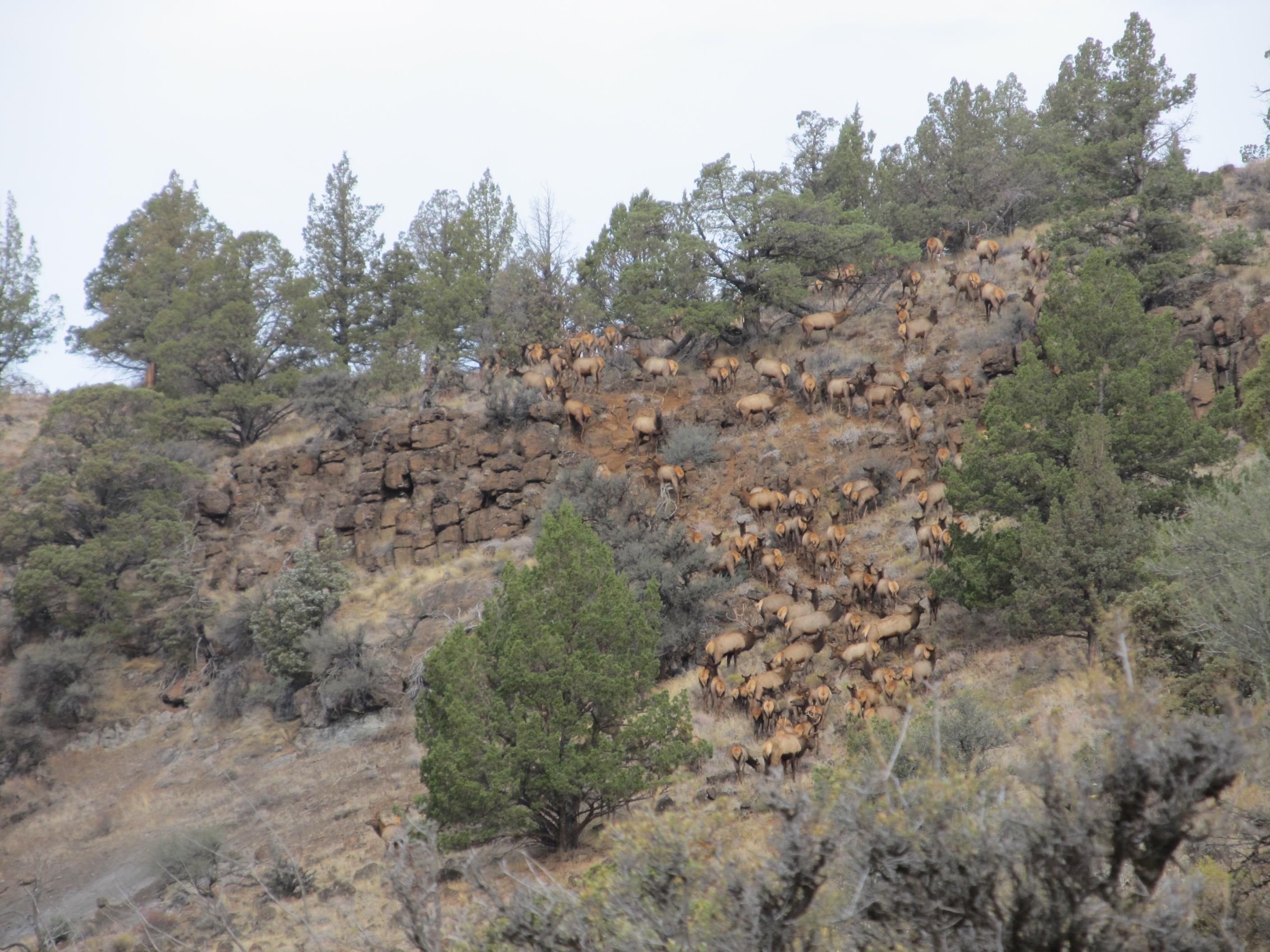 2,143 acres in Kimberly, OR, 97848 LandWatch