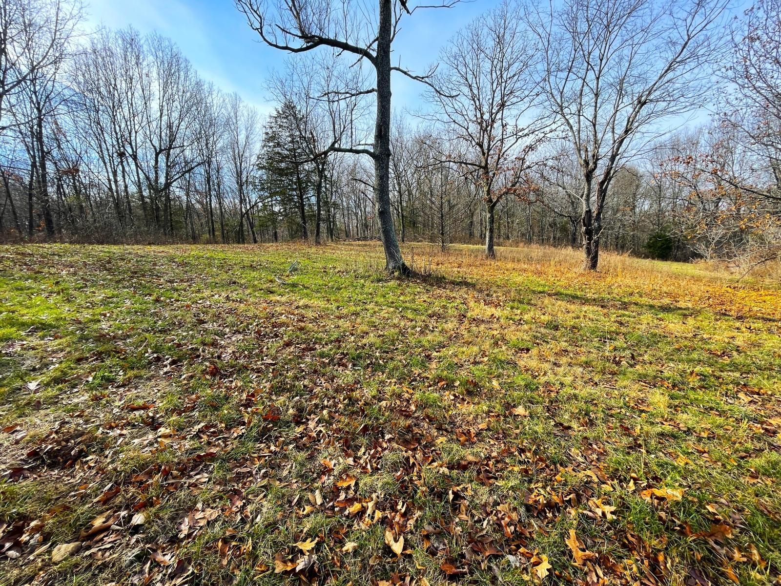 Goodman, McDonald County, MO Farms and Ranches for sale Property ID