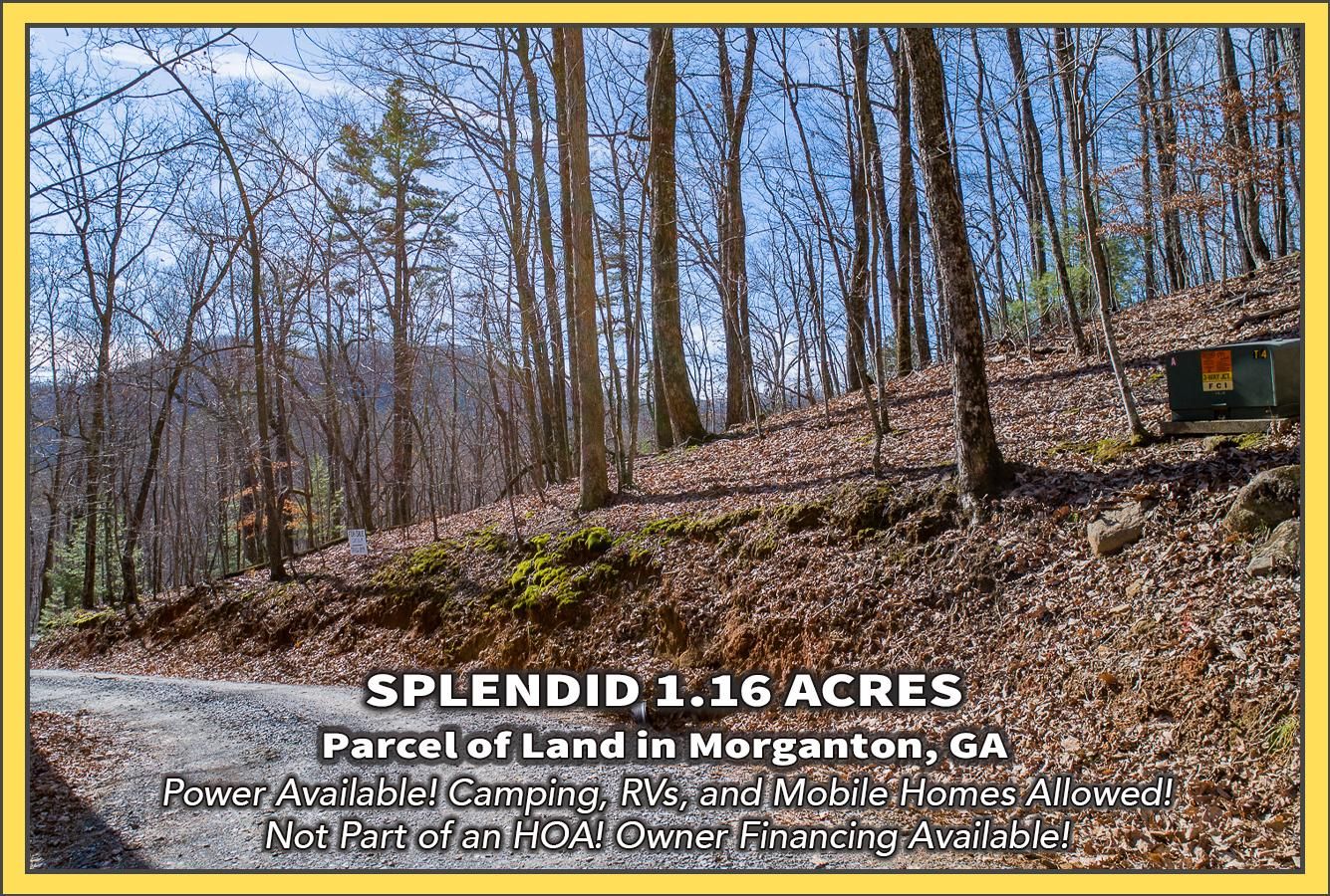 Fannin County, GA Recreational Property, Undeveloped Land