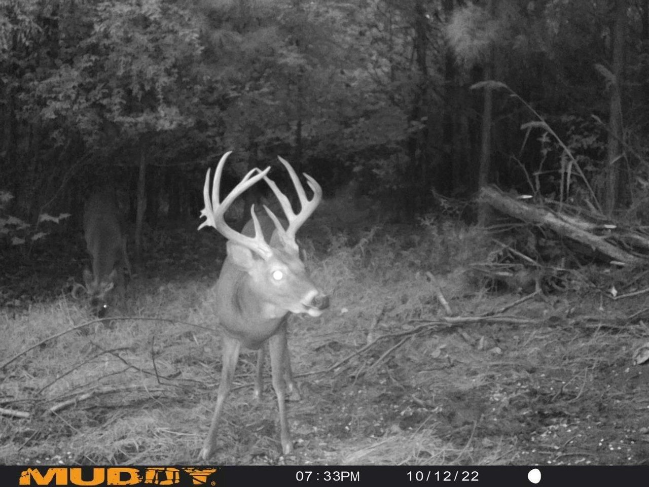 Millport, Lamar County, AL Farms and Ranches, Recreational Property