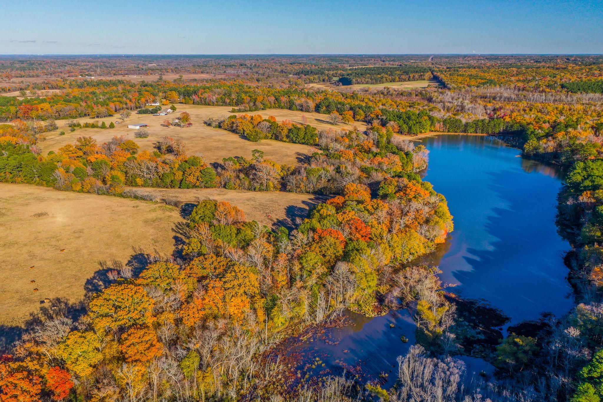 250.12 acres in Overton, TX, 75684 MLS Rolling Topography, Massive