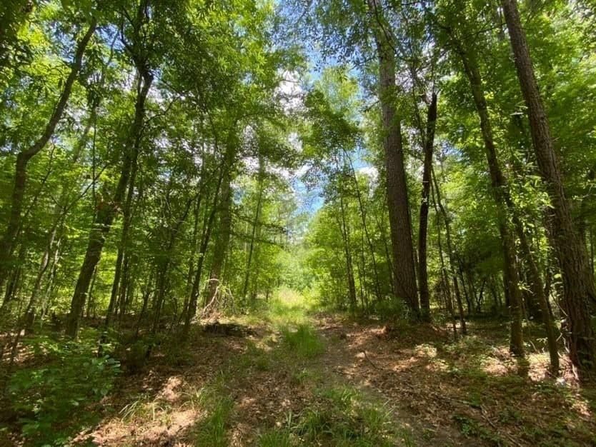 Cloutierville, Natchitoches Parish, LA Recreational Property