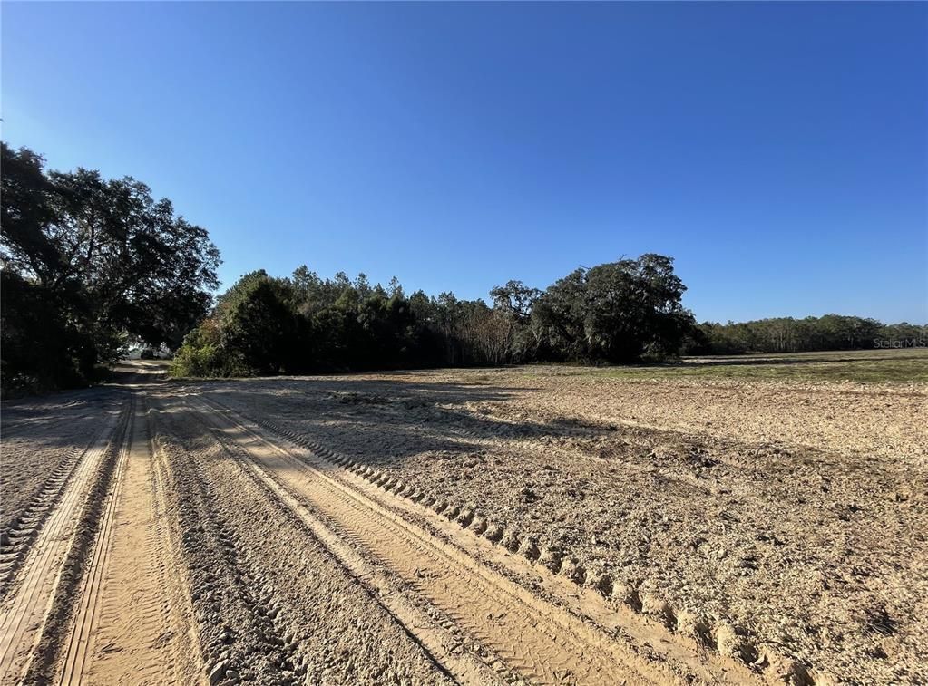 Hawthorne, Alachua County, FL Farms and Ranches, Recreational Property