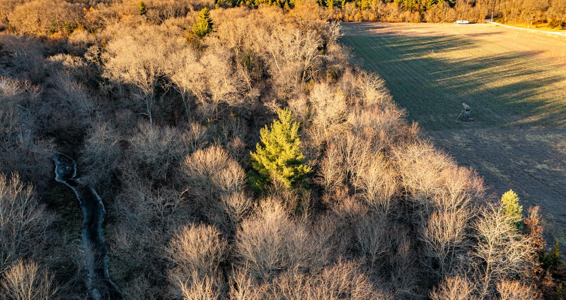 Keithsburg, Henderson County, IL Recreational Property, Timberland Property, Hunting Property