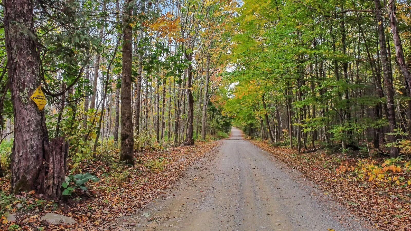Newport, Penobscot County, ME Undeveloped Land, Lakefront Property
