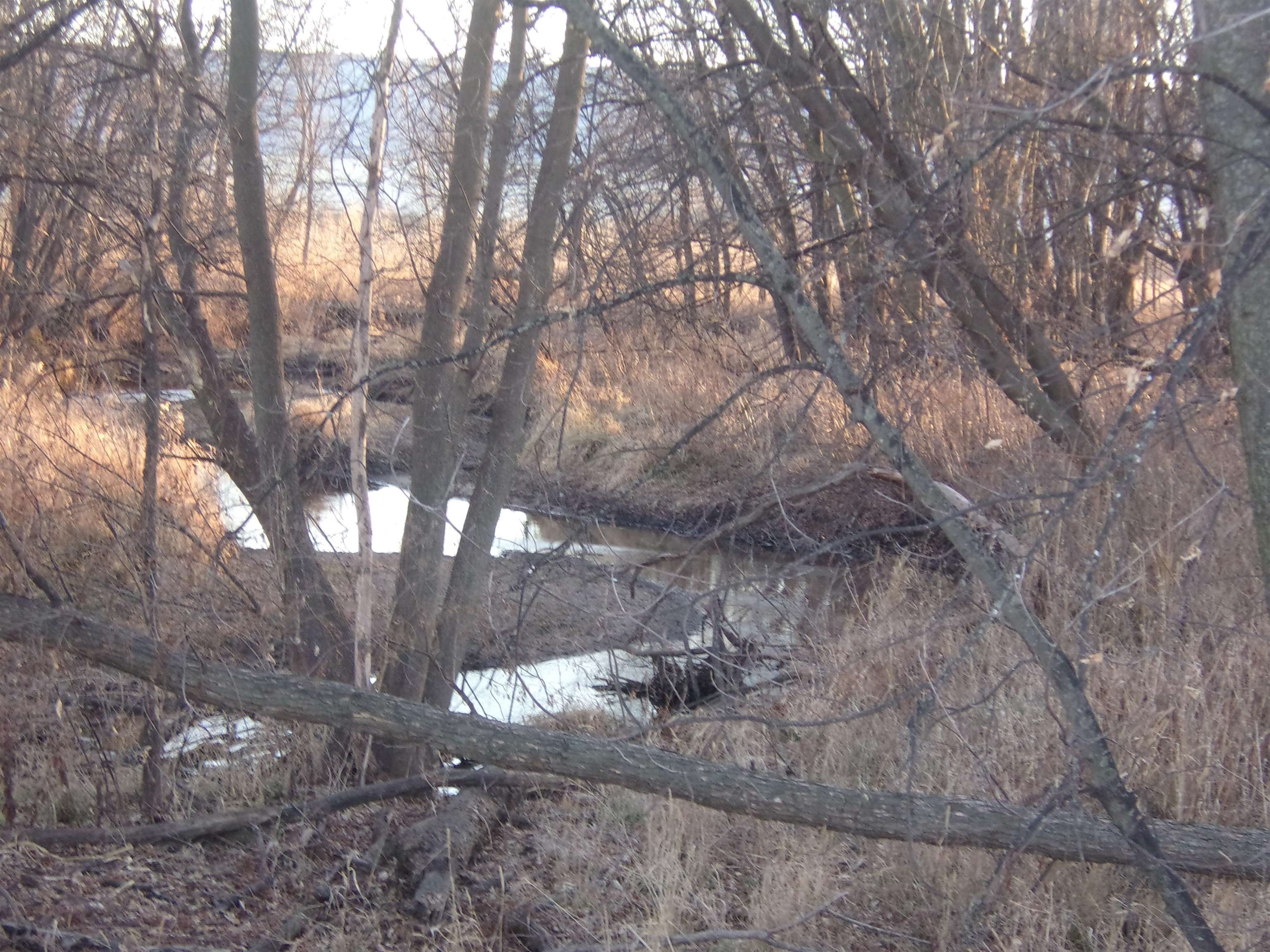 Masonville, Delaware County, IA Undeveloped Land for sale Property ID