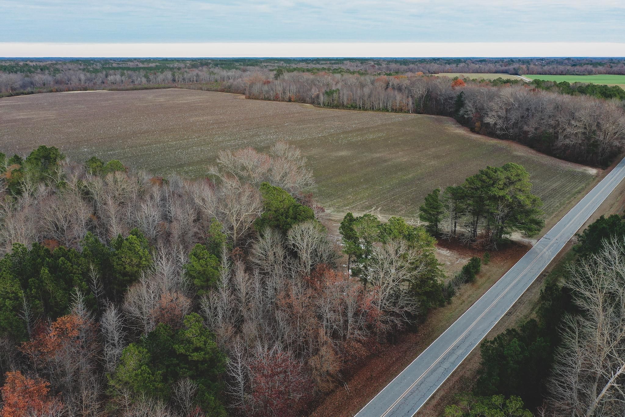 Halifax, Halifax County, NC Farms and Ranches, Recreational Property, Hunting Property for sale