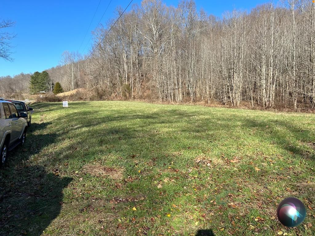 Vanceburg, Lewis County, KY Undeveloped Land for sale Property ID