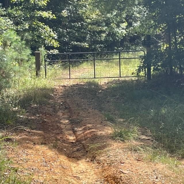 Talbotton, Talbot County, GA Undeveloped Land for sale Property ID