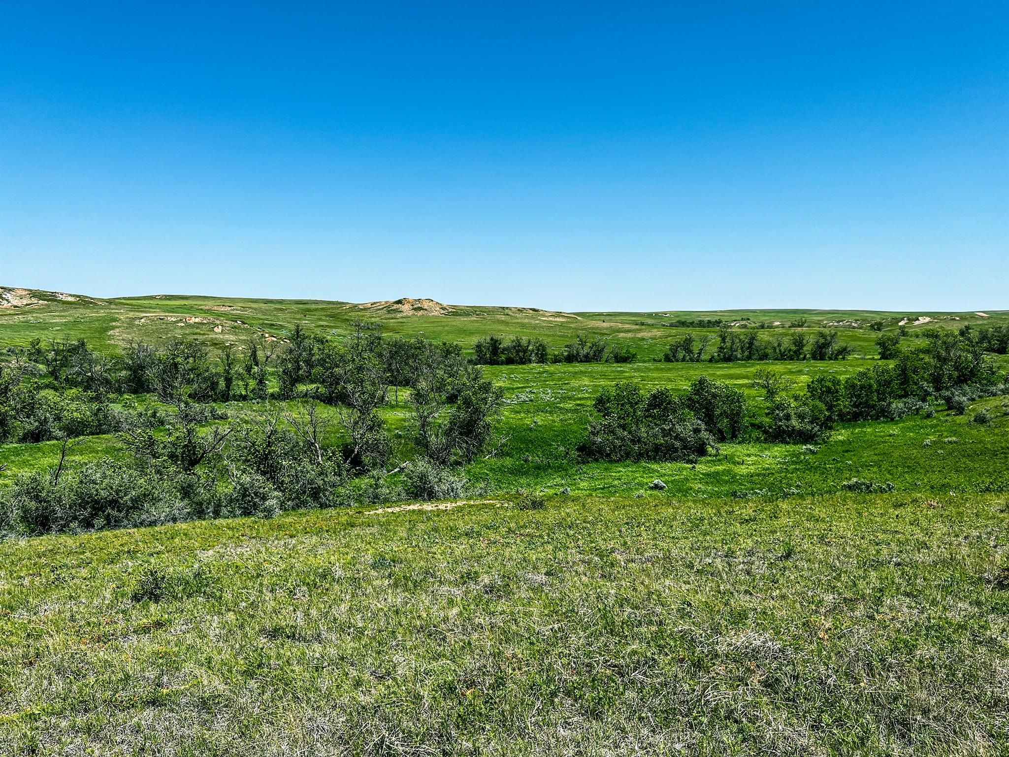 Wibaux, Dawson County, MT Farms and Ranches, Recreational Property