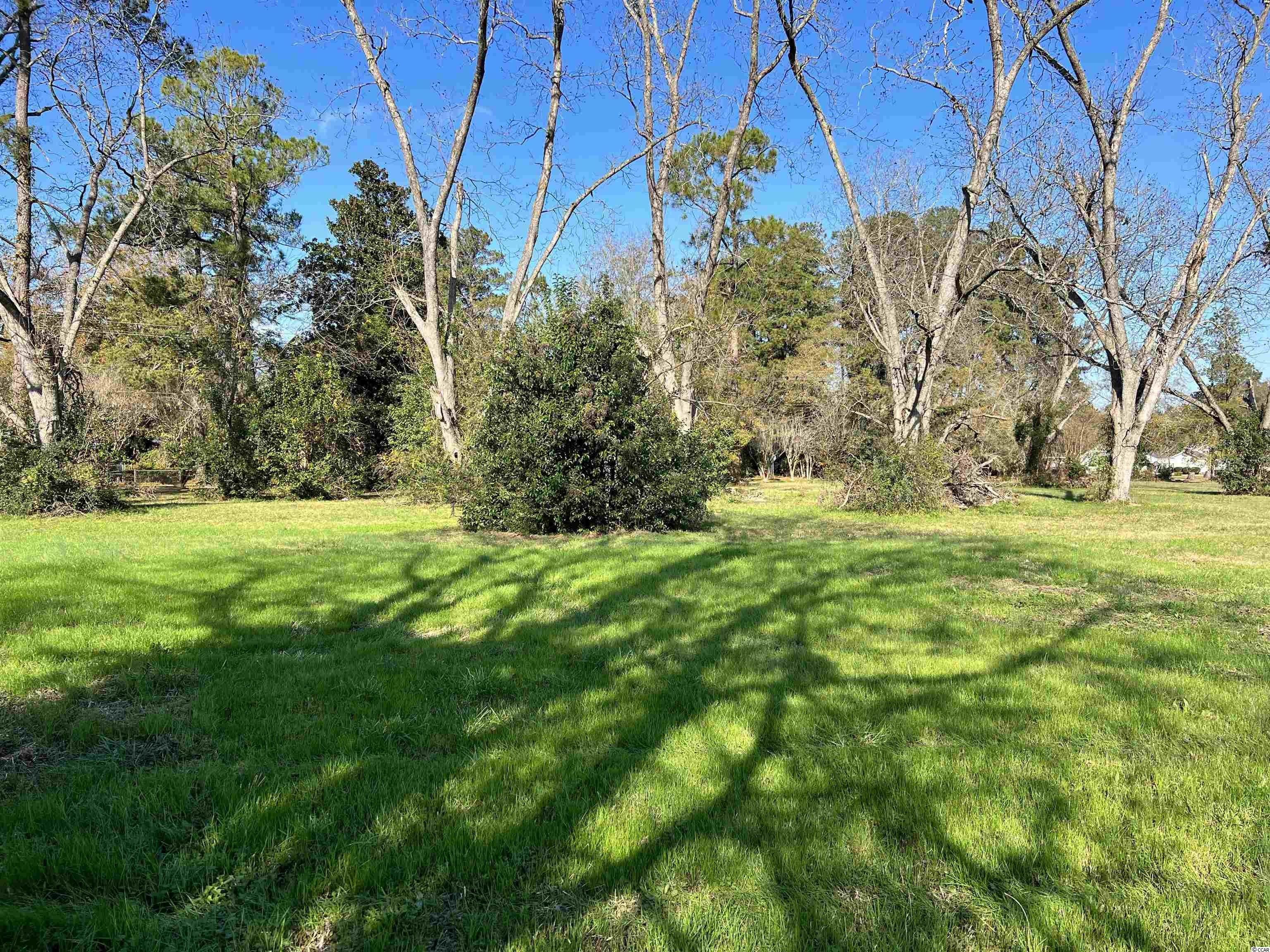 Mullins, Marion County, SC Undeveloped Land, Homesites for sale