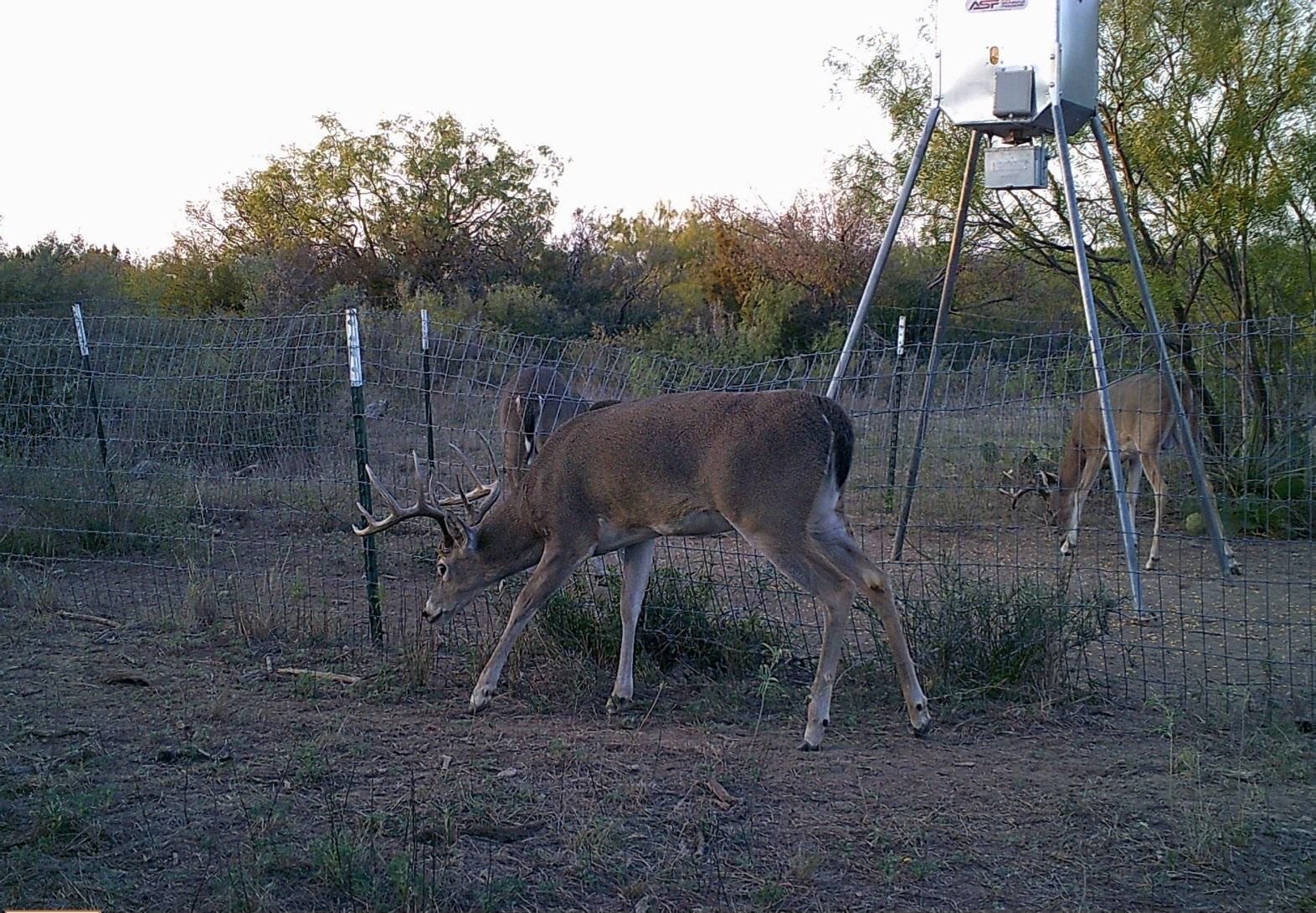 Millersview, Concho County, TX Farms and Ranches, Recreational Property