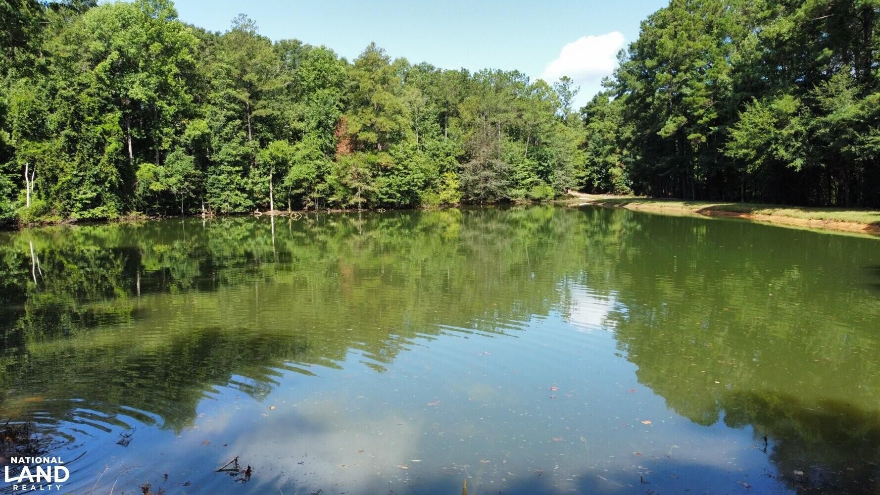 Newville, Henry County, AL Farms and Ranches, Horse Property for sale Property ID 414479491