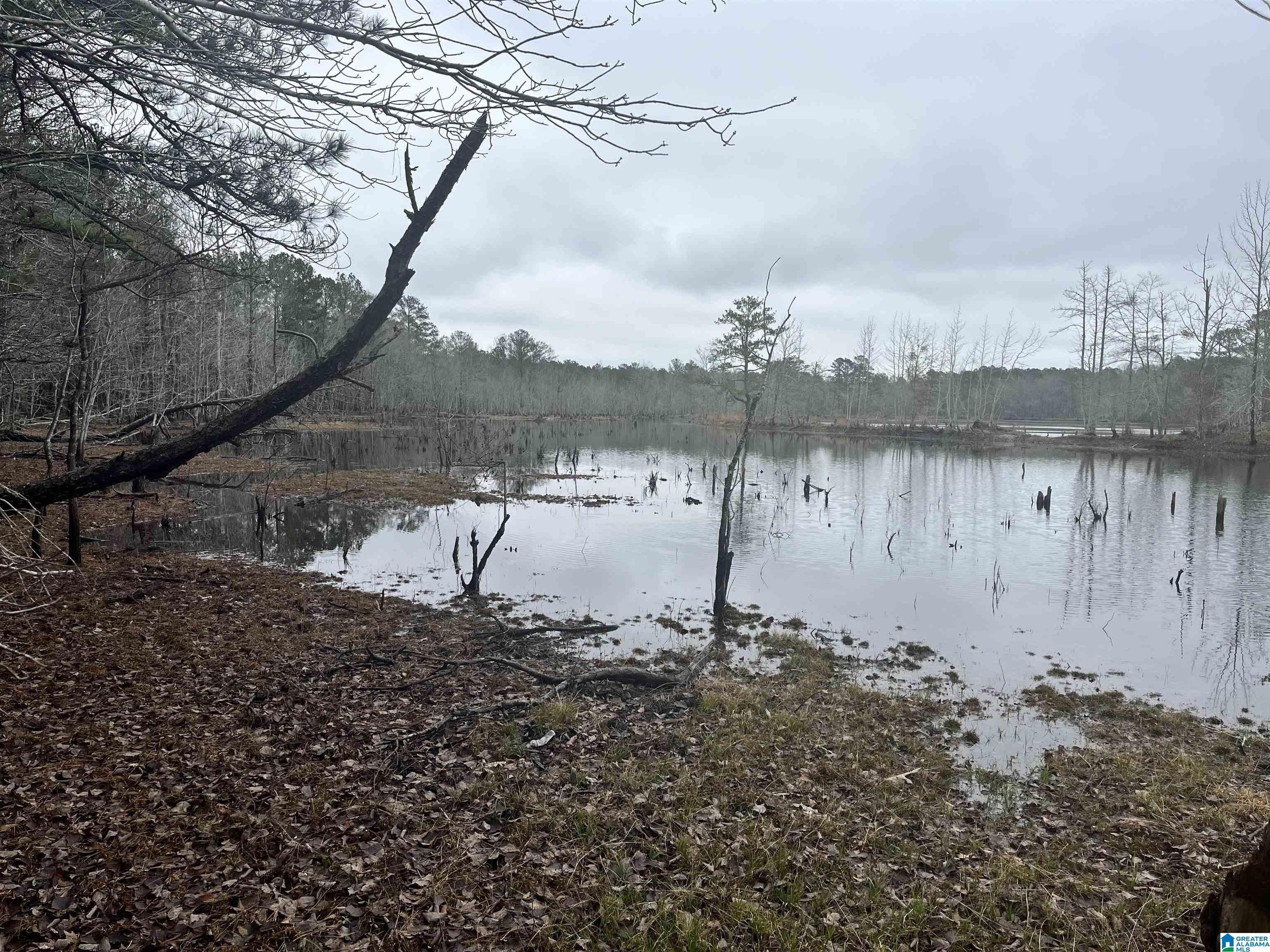 Riverside, Saint Clair County, AL Undeveloped Land for sale Property ID