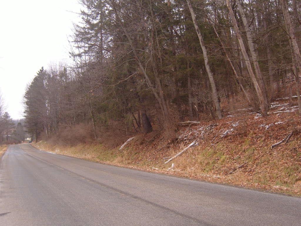 Westfield, Tioga County, PA Undeveloped Land for sale Property ID 415442214 LandWatch