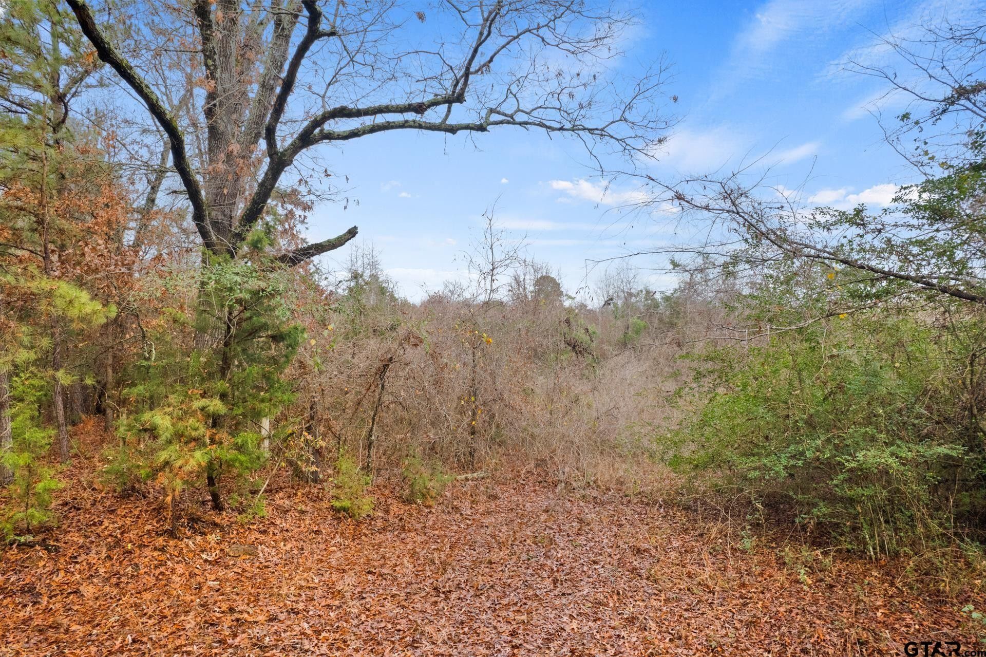 Naples, Cass County, TX Undeveloped Land for sale Property ID