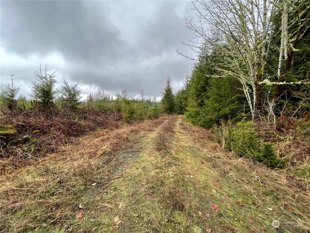 Onalaska, Lewis County, WA for sale Property ID 415442938 LandWatch