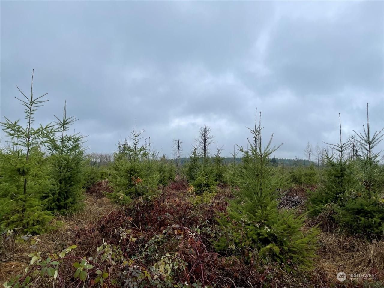 Onalaska, Lewis County, WA for sale Property ID 415442939 LandWatch