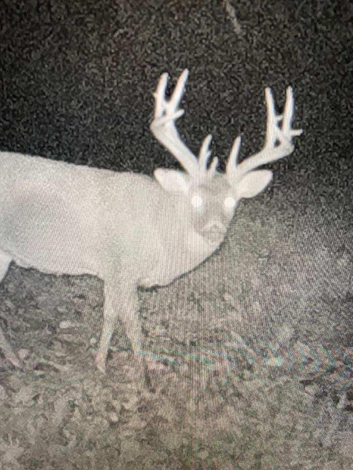 West Union, Adams County, OH Hunting Property for sale Property ID 415443453 LandWatch