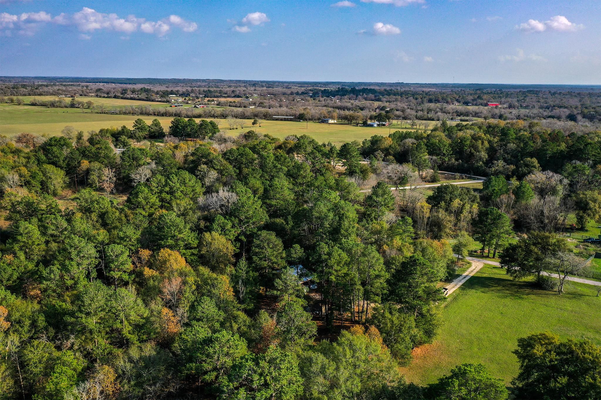 Huntsville, Walker County, TX Timberland Property, House for sale