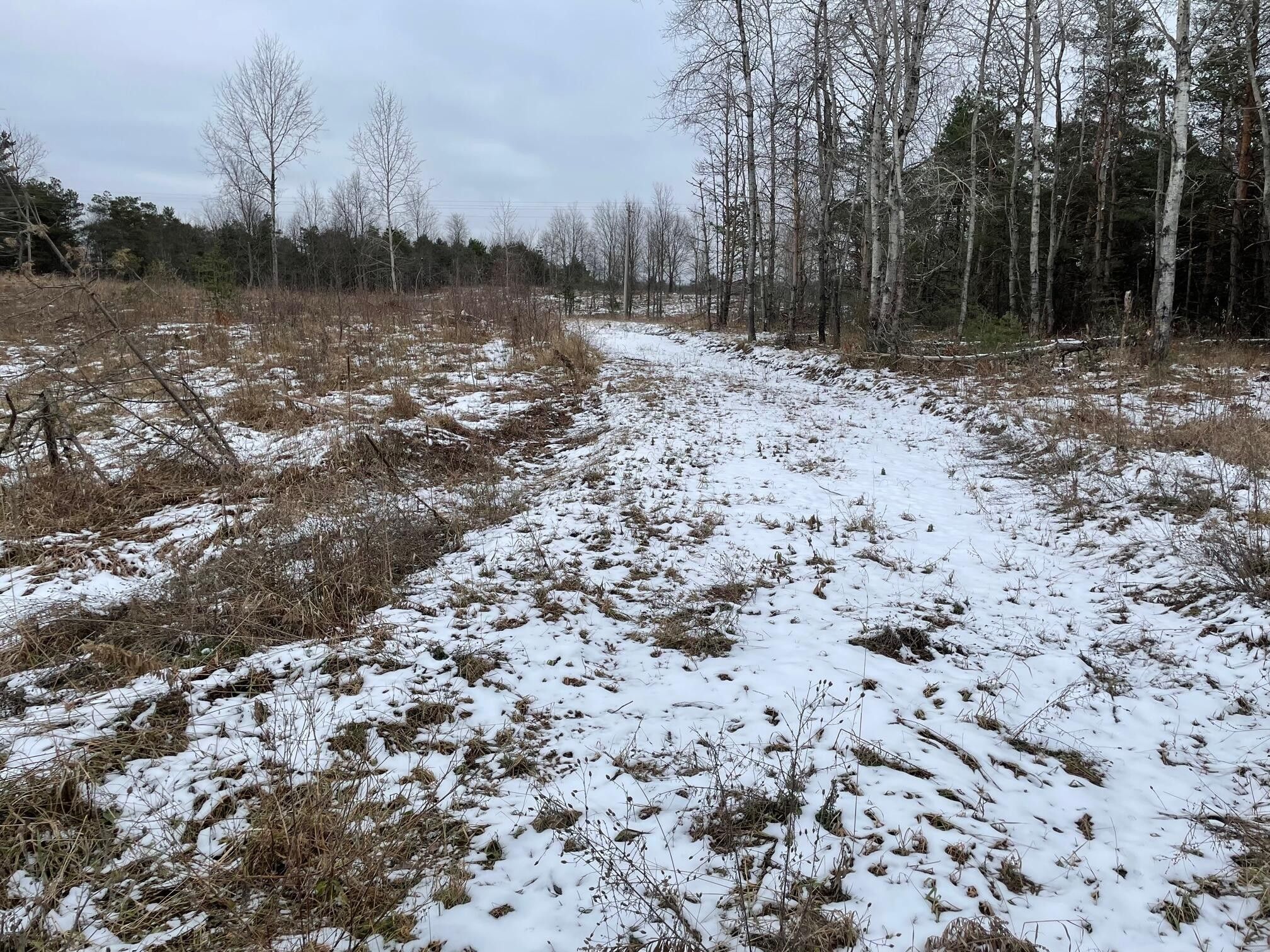 Copemish, Manistee County, MI Undeveloped Land for sale Property ID