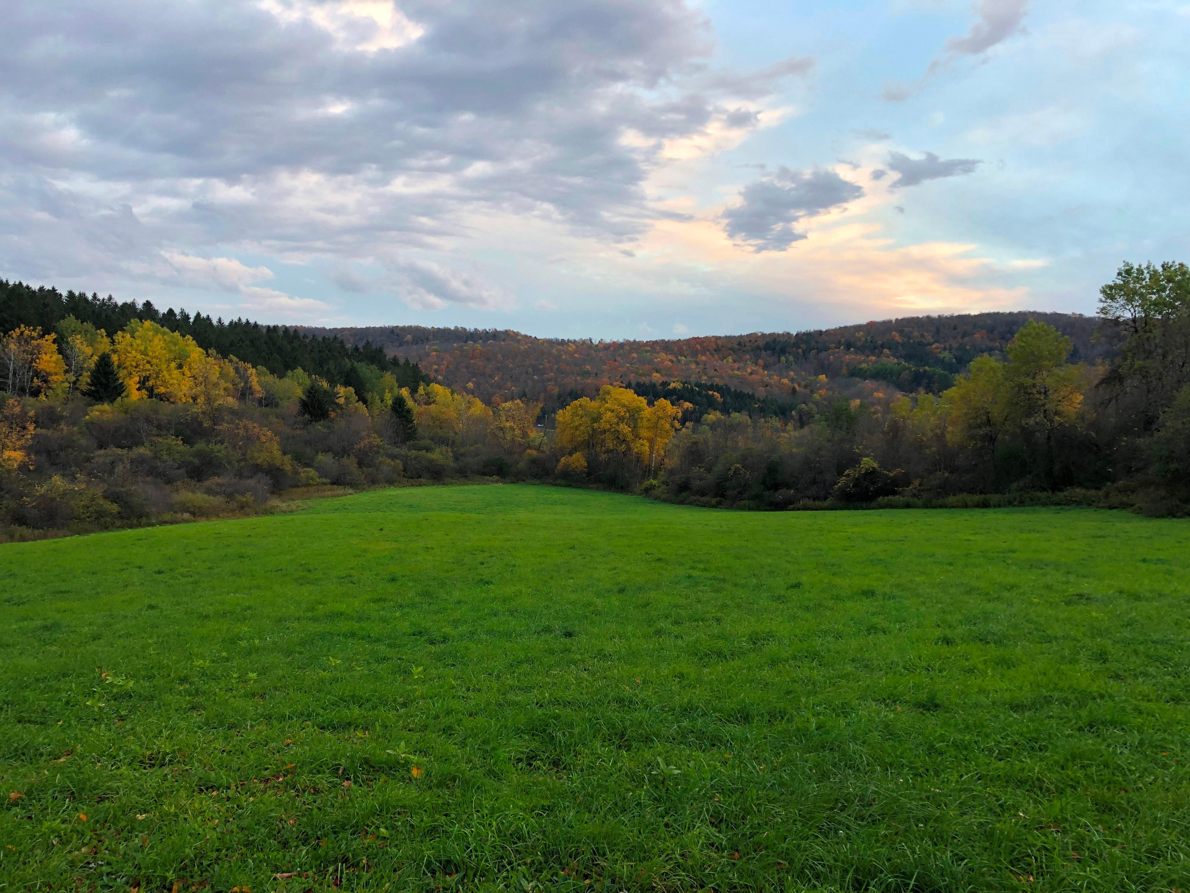 Lebanon, Madison County, NY Recreational Property, Hunting Property for sale Property ID