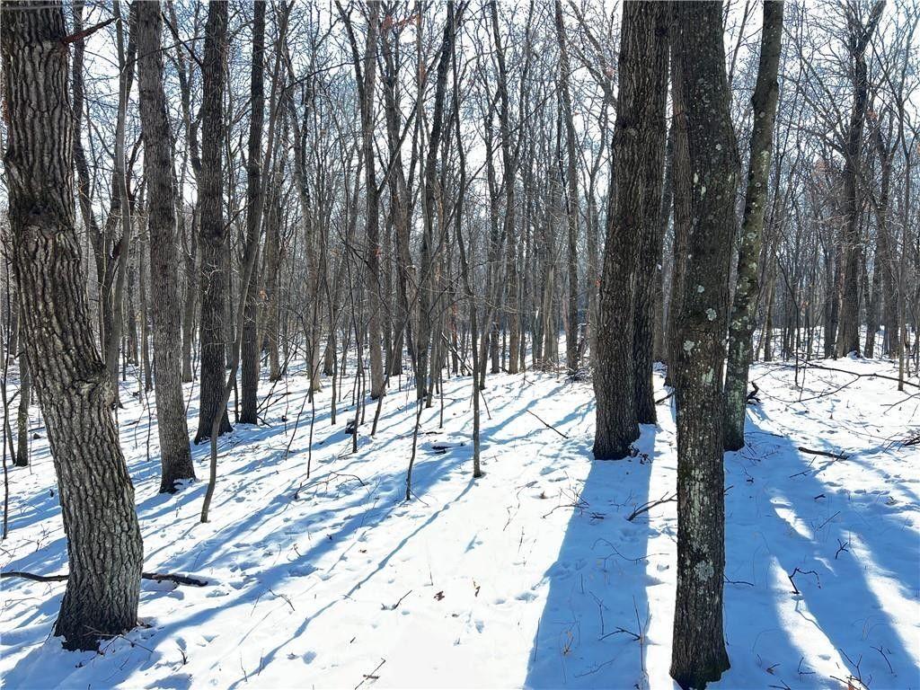 Wheeler, Dunn County, WI Undeveloped Land for sale Property ID