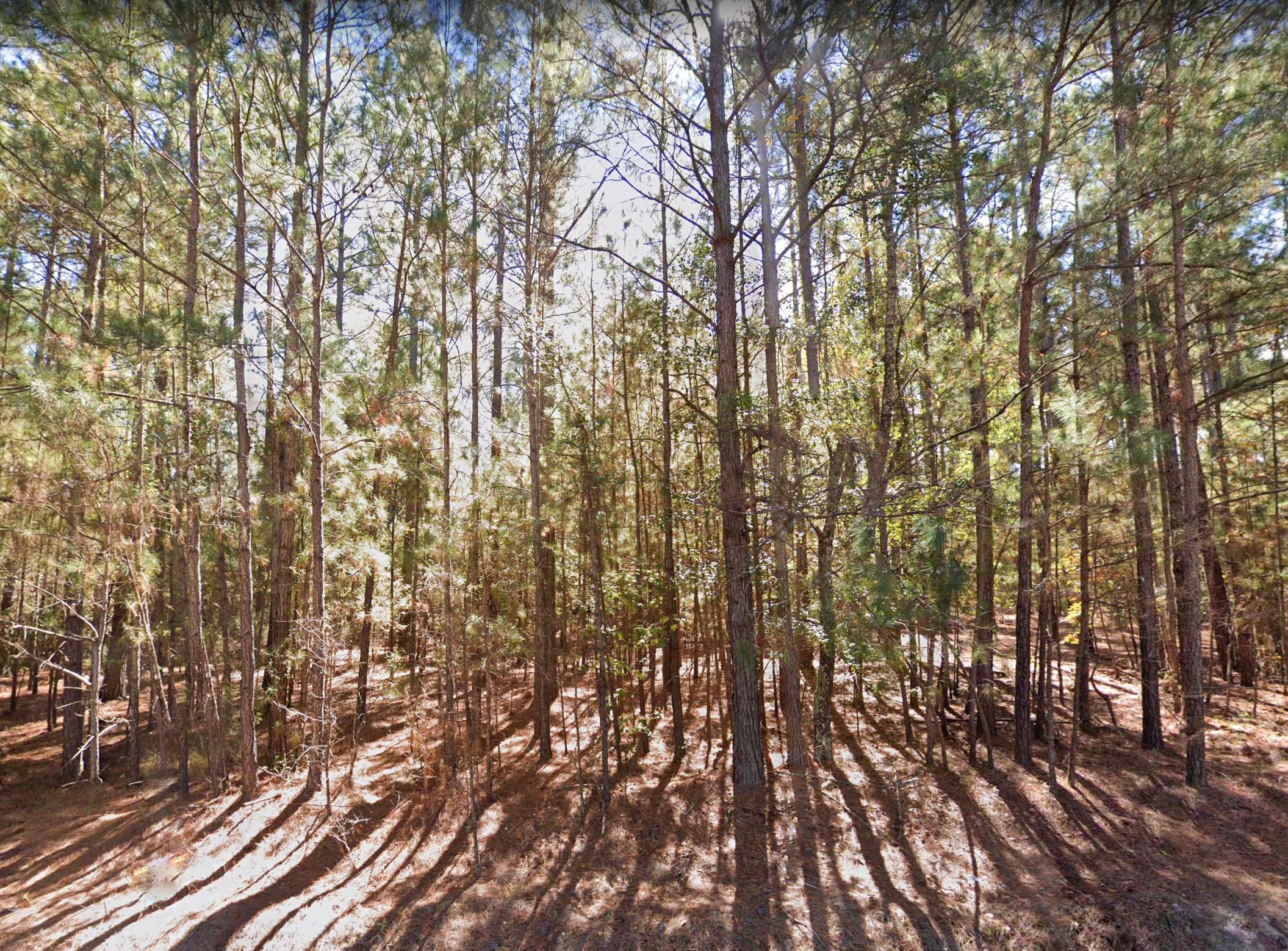 Cassatt, Kershaw County, SC Undeveloped Land, Horse Property, Homesites