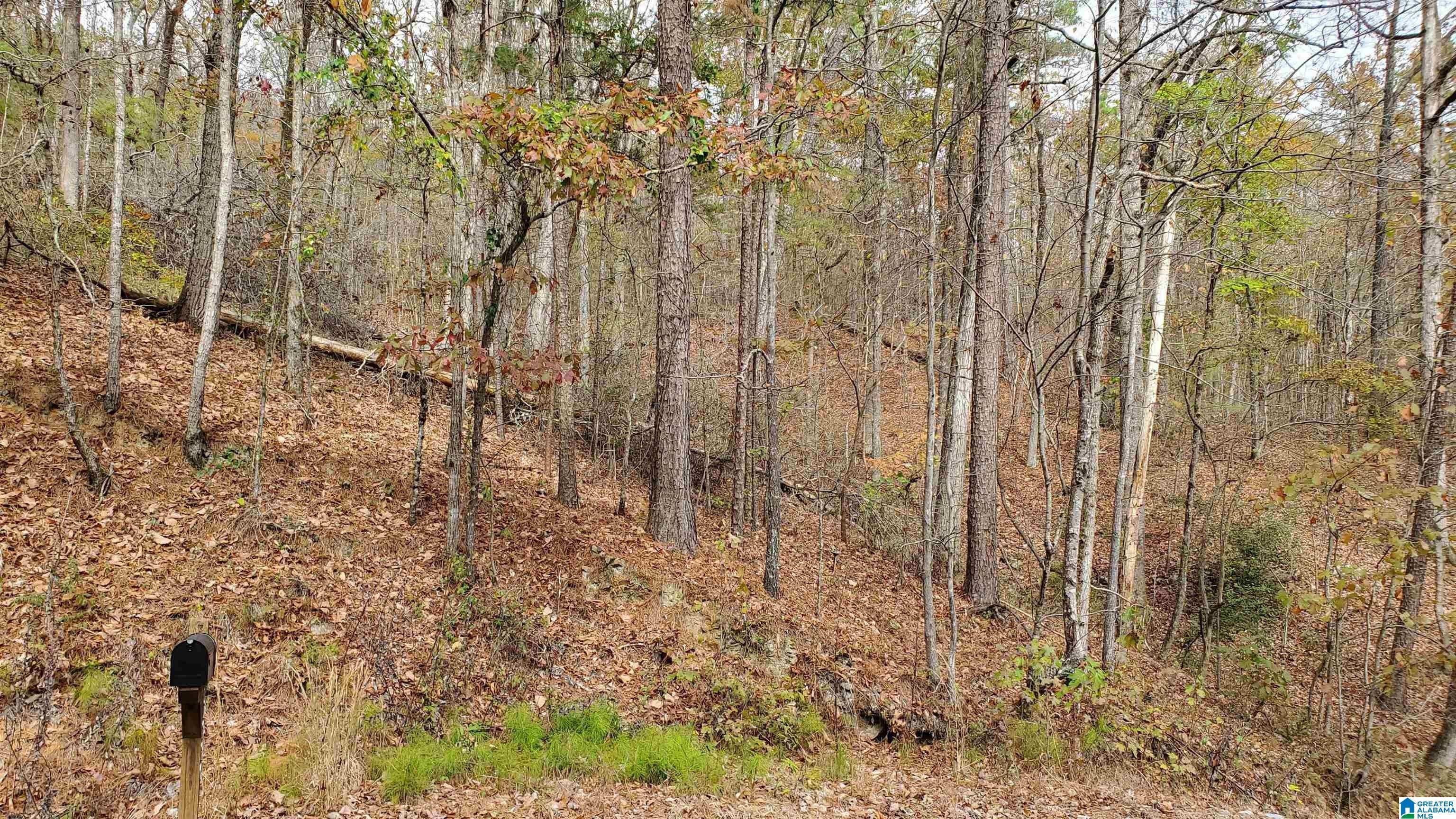 Springville, Saint Clair County, AL Farms and Ranches, Homesites for