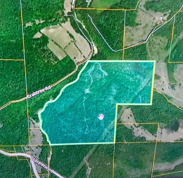 Belleview, Iron County, MO Timberland Property, Undeveloped Land