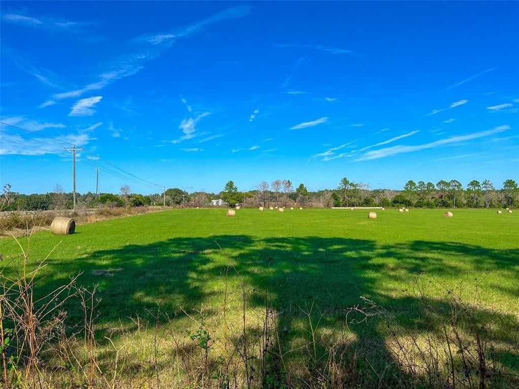 Alachua, Alachua County, FL Undeveloped Land for sale Property ID