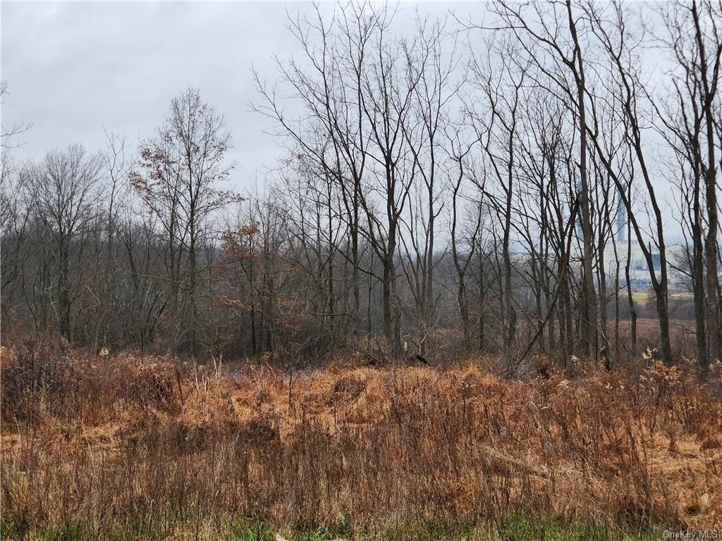New Hampton, Orange County, NY Undeveloped Land, Homesites for sale