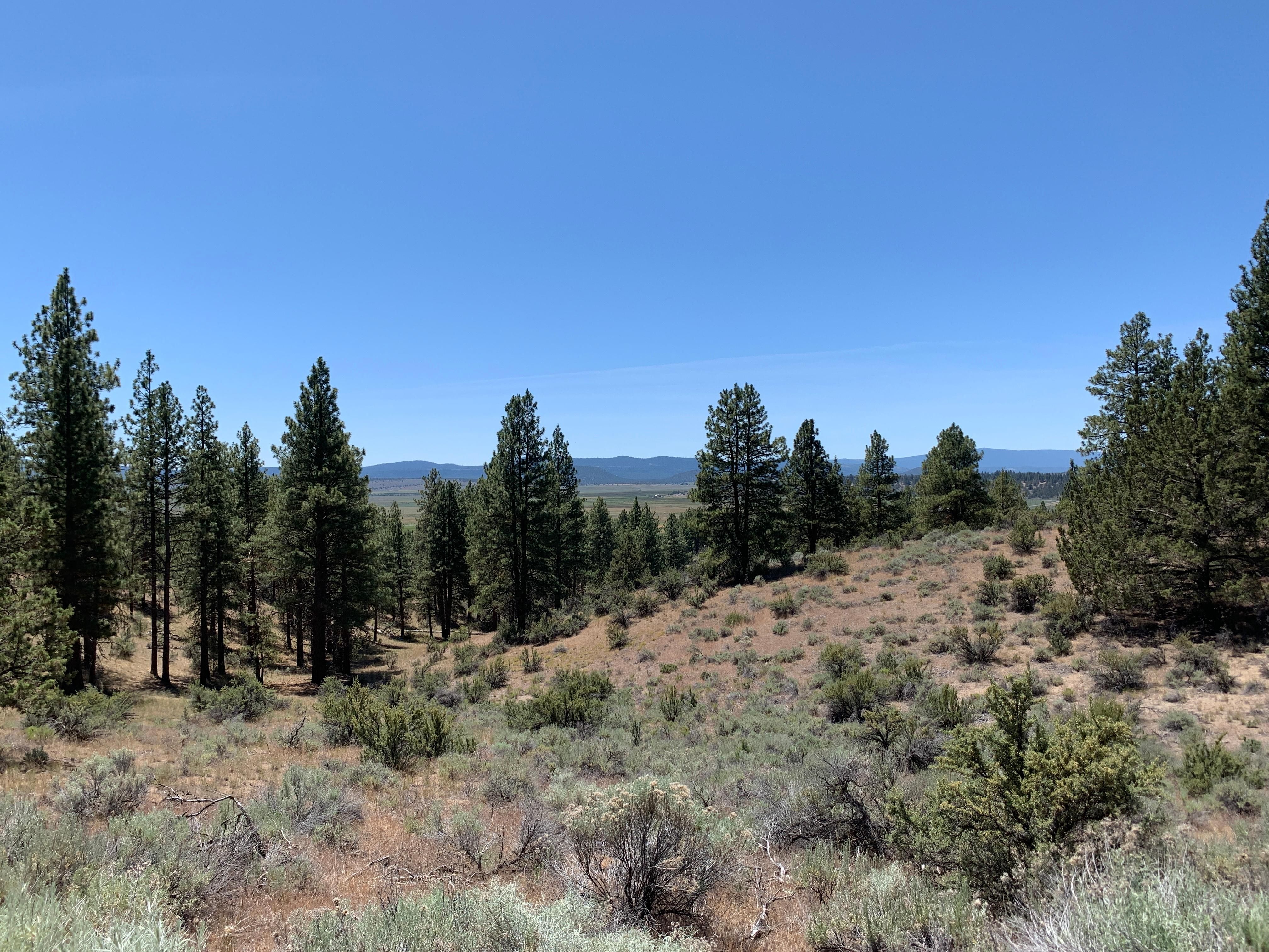 Beatty, Klamath County, OR Recreational Property, Undeveloped Land