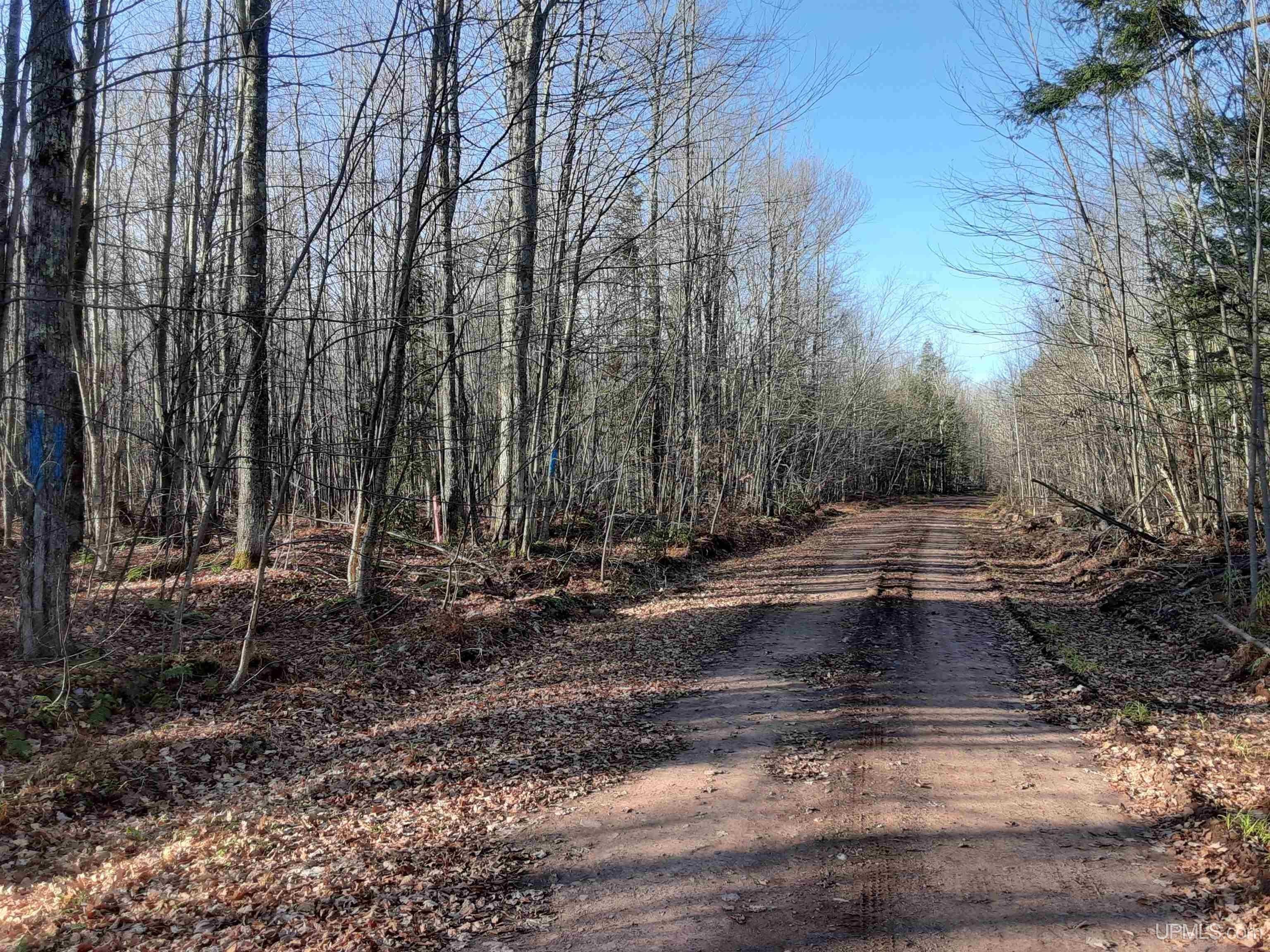 Ironwood, Gogebic County, MI Undeveloped Land, Lakefront Property