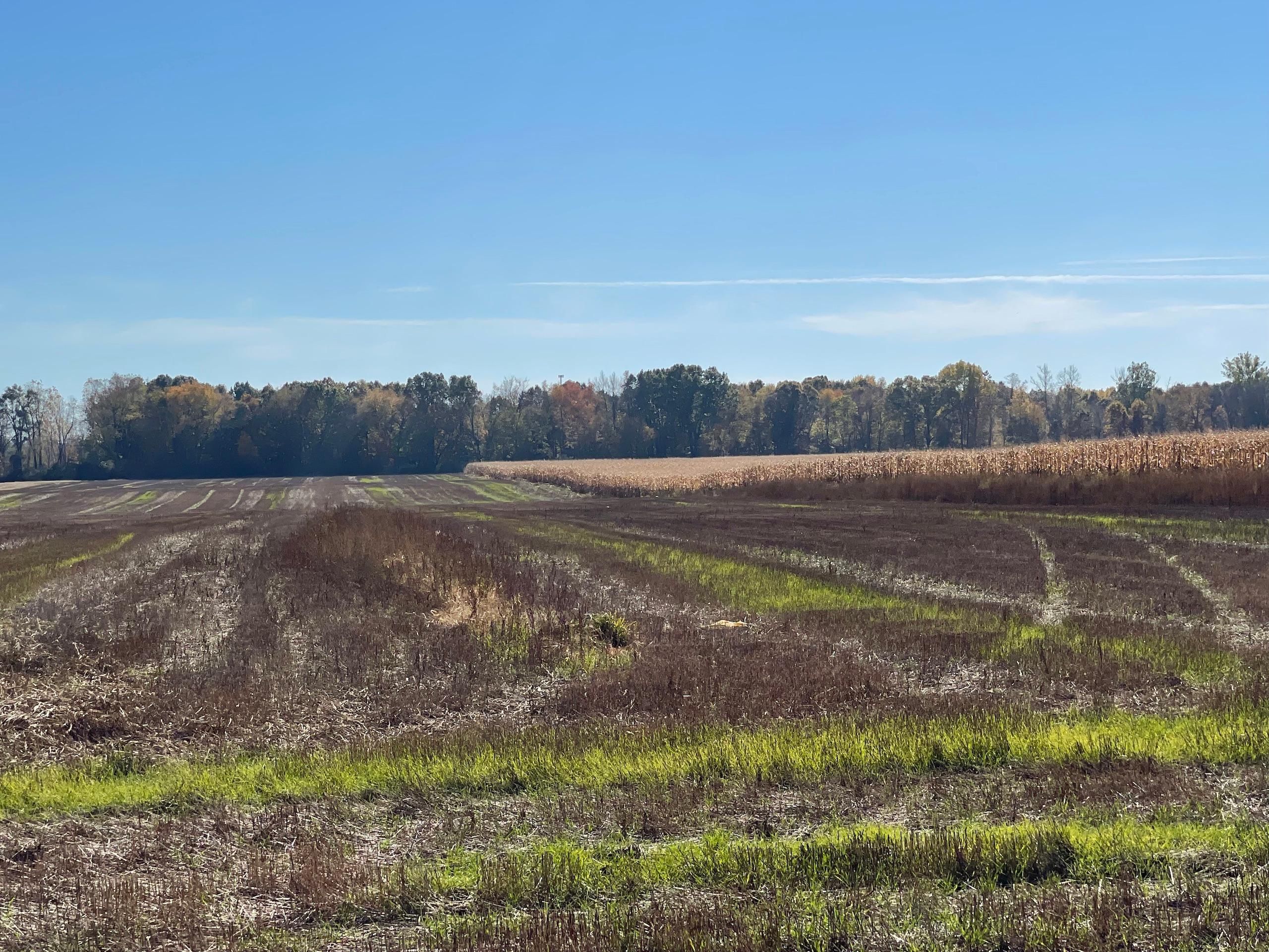Mount Morris, Genesee County, MI Farms and Ranches, Timberland Property