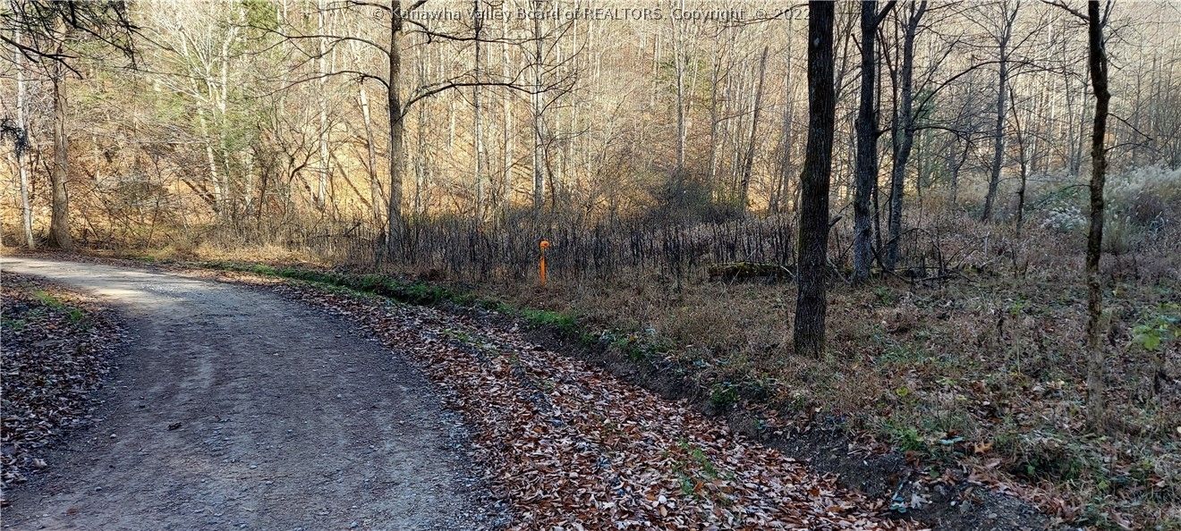 Elkview, Kanawha County, WV Undeveloped Land for sale Property ID