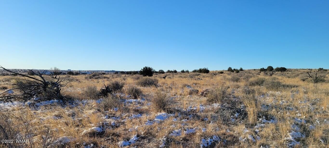 Snowflake, Navajo County, AZ Undeveloped Land for sale Property ID