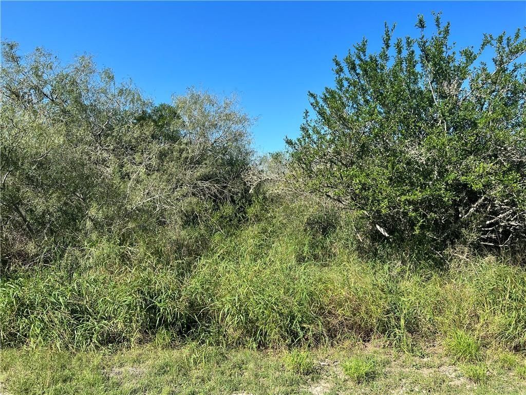 Sandia, Live Oak County, TX Undeveloped Land, Homesites for sale