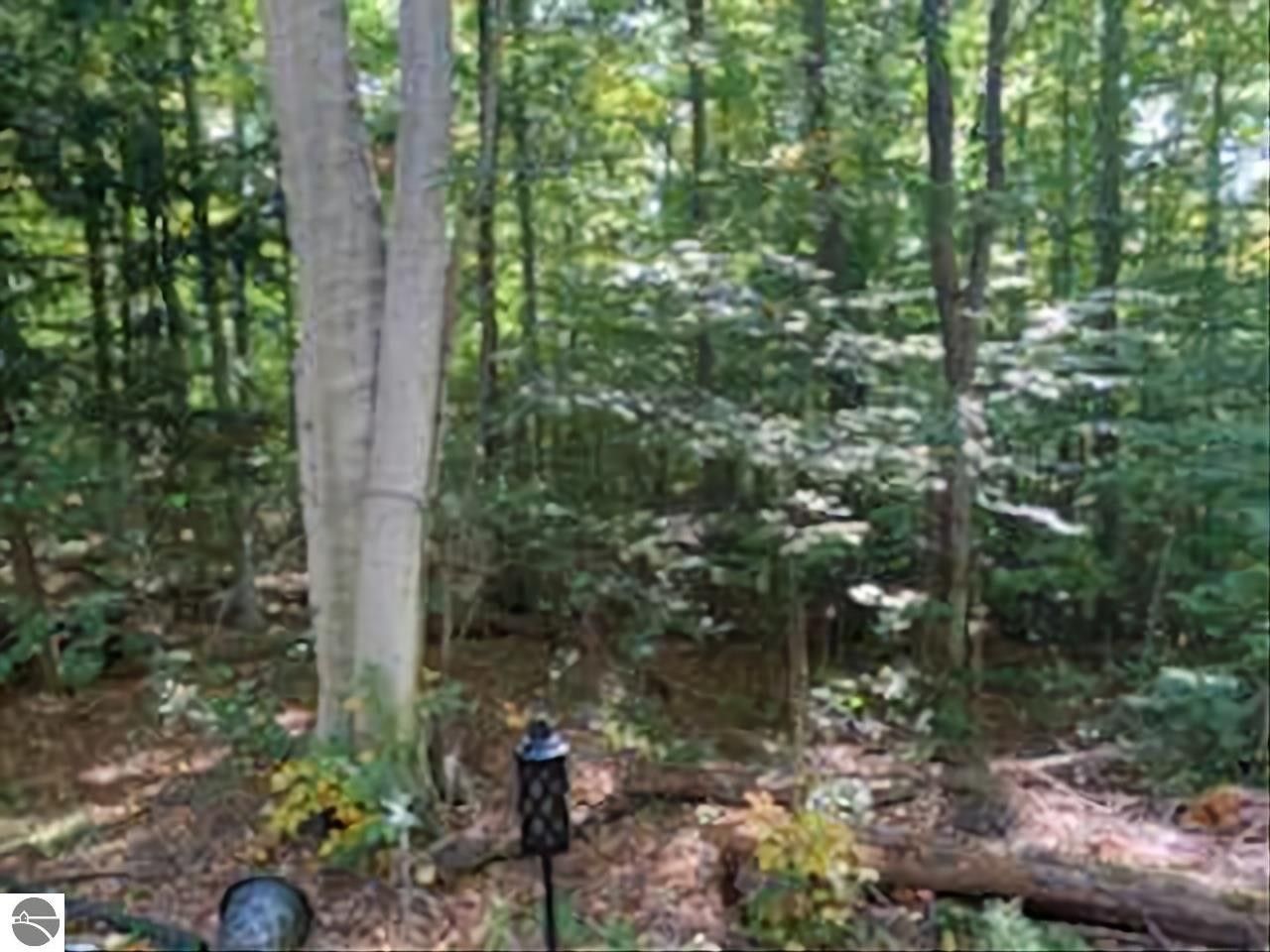 Benzonia, Benzie County, MI Undeveloped Land, Lakefront Property