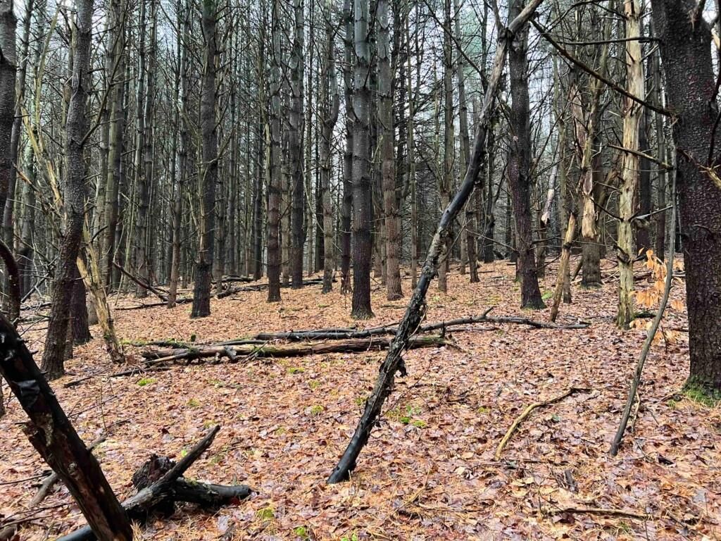 Newark Valley, Tioga County, NY Recreational Property, Hunting Property