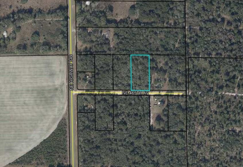 Old Town, Dixie County, FL Undeveloped Land, Homesites for sale