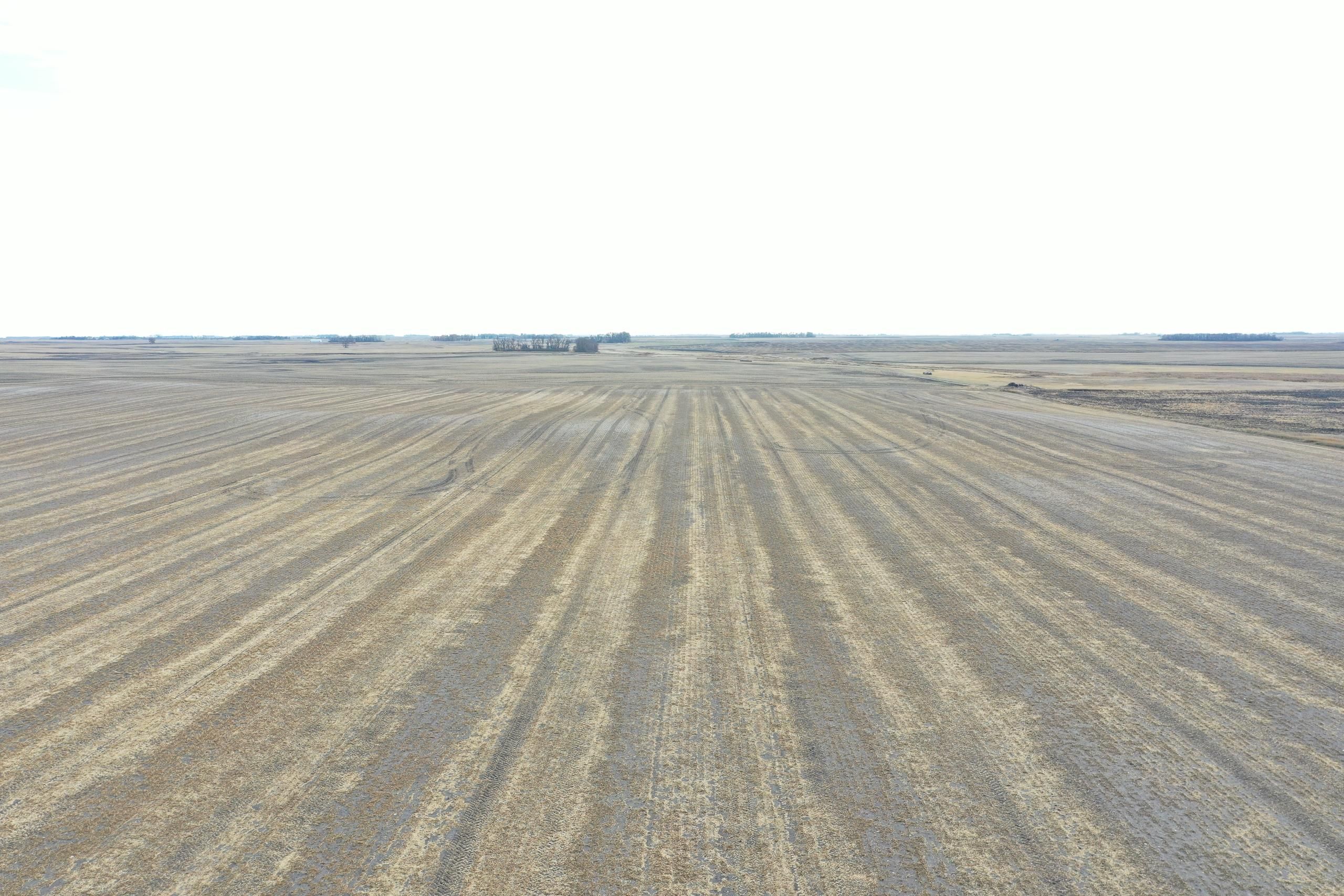 Nelson County, ND Farms and Ranches, Undeveloped Land for auction Property ID 415456778