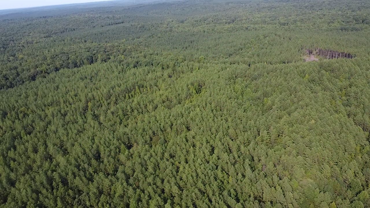 Bolivar, Hardeman County, TN Recreational Property, Timberland Property