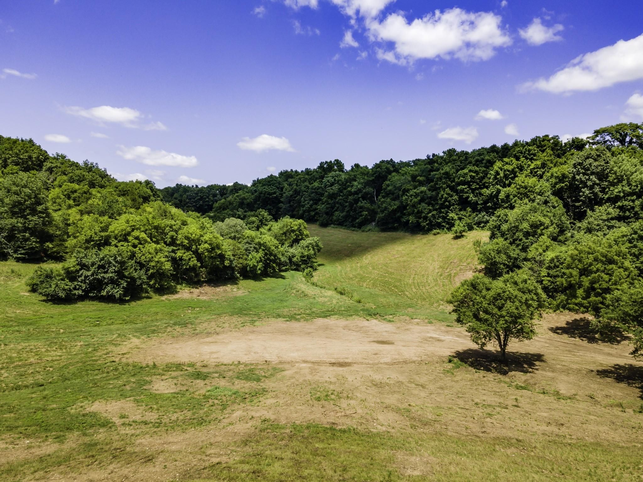 Pulaski, Giles County, TN Farms and Ranches, Undeveloped Land for sale