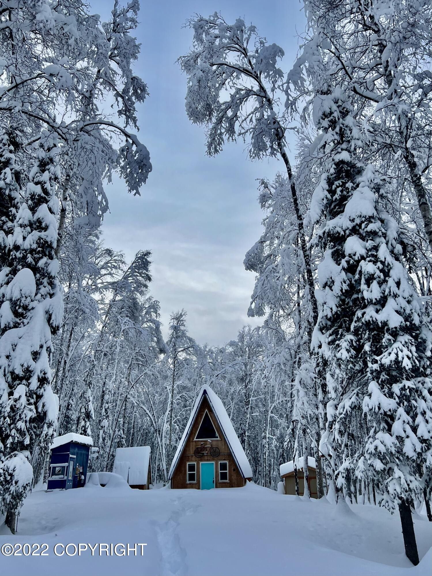 Talkeetna, MatanuskaSusitna Borough, AK House for sale Property ID