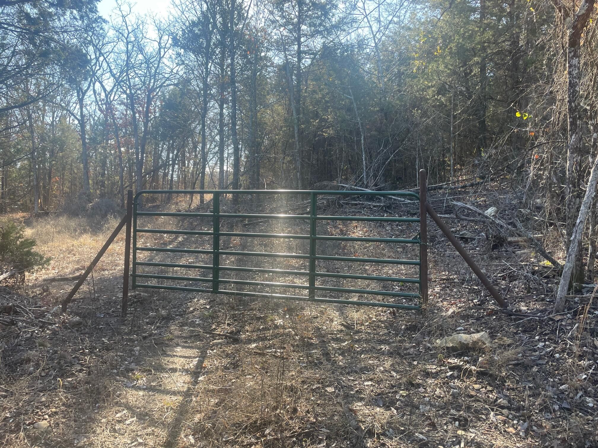 Berryville, Carroll County, AR Undeveloped Land for sale Property ID