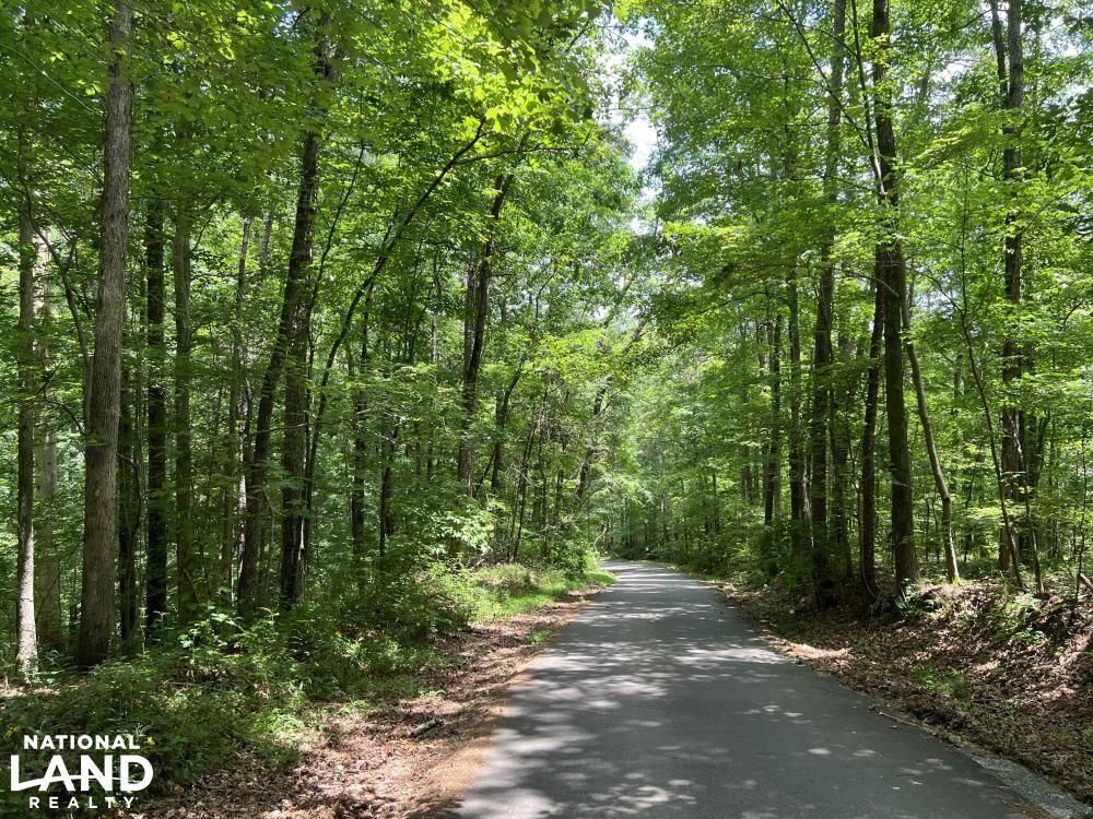 Odenville, Saint Clair County, AL for sale Property ID 415459321