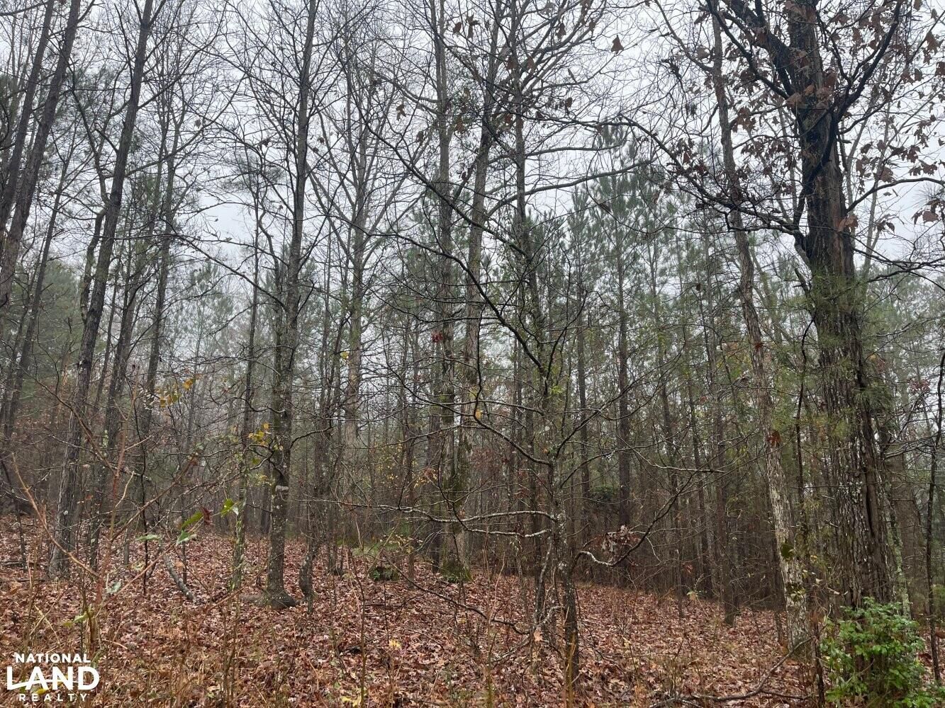 Millport, Lamar County, AL Recreational Property, Timberland Property