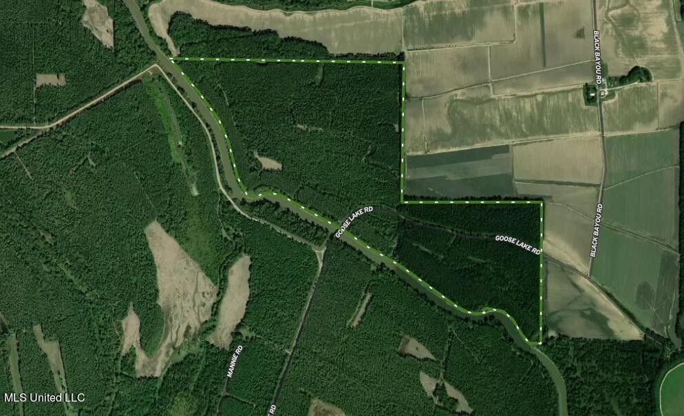 Mayersville, Issaquena County, MS Undeveloped Land for sale Property ID